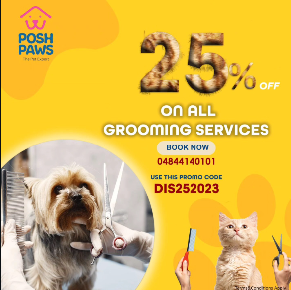 Posh paw pets Gallery Image